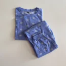 Blue Flower Crop top and jogger Pant Co-Ord Set