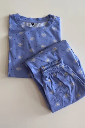 Blue Flower Crop top and jogger Pant Co-Ord Set